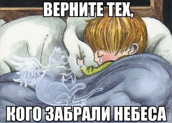 77Nusca's tweet photo. Я больше никогда не поглажу твою мягкую шёрстку,не увижу твоих ярко-зеленых глаз... Спасибо за прекрасные 15 лет*** http://t.co/hC7B6gk8pm