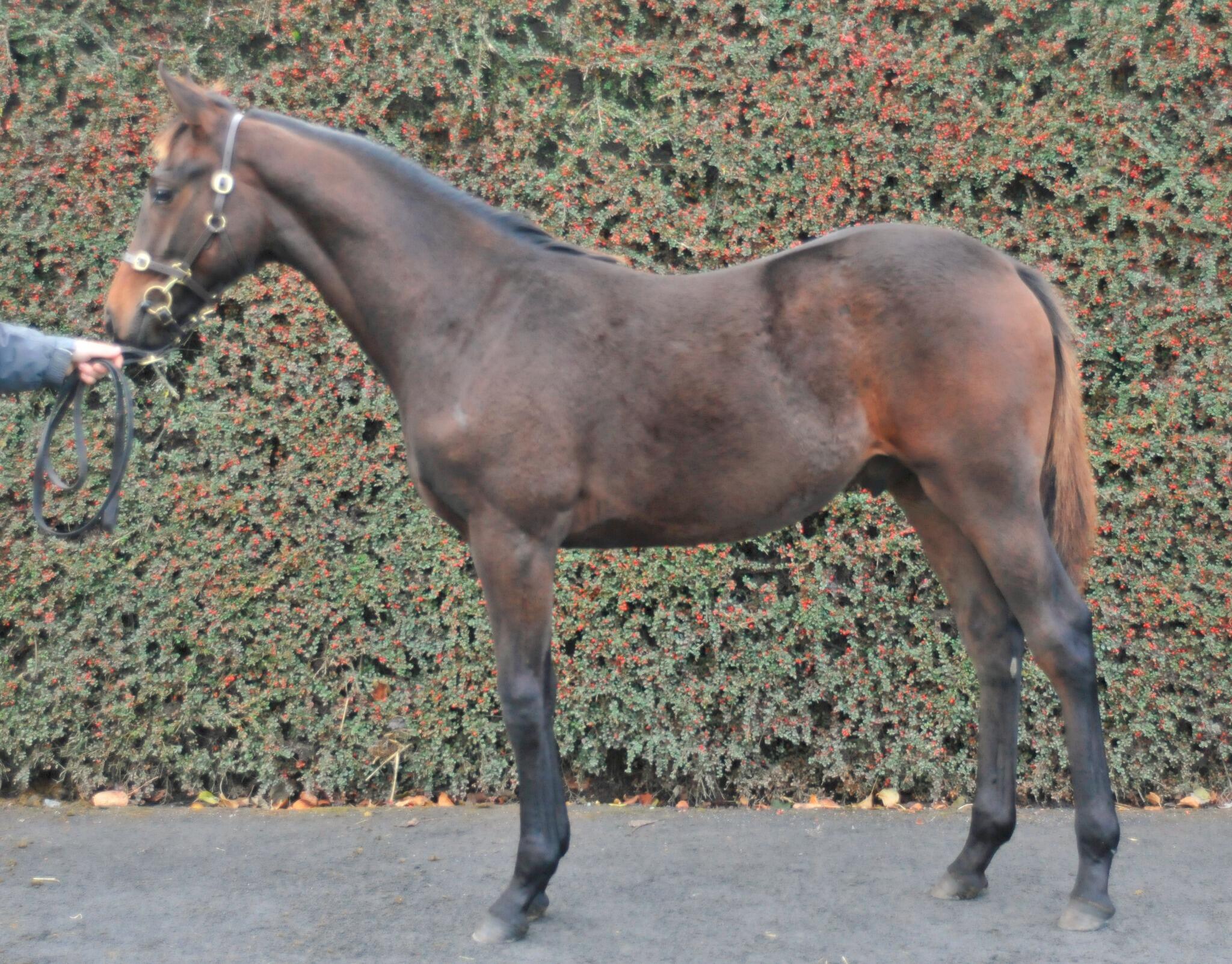 BY-XmnnCUAEdal-.jpg:large