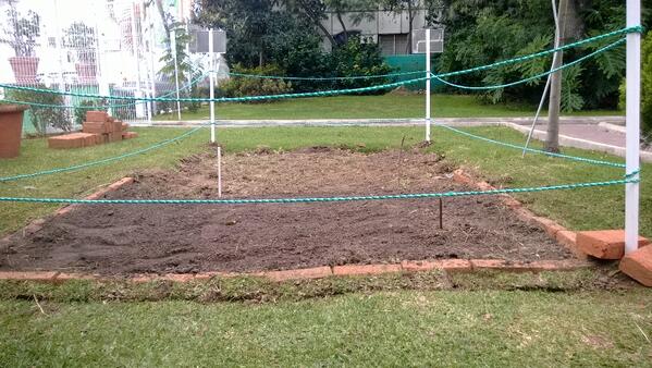 TransicionLeon's tweet image. Dándole a las camas de #cultivo. Casi listas para la #siembra. ¿Quién dijo yo a la elotiza? @uni_meridiano