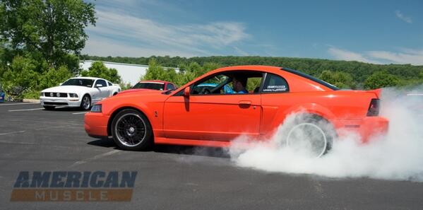 americanmuscle's tweet photo. Graphic: Check out The Most Popular Ford Mustang Colors of All-time!  Read more at: http://t.co/llljB2olIX http://t.co/macLE2kh4s