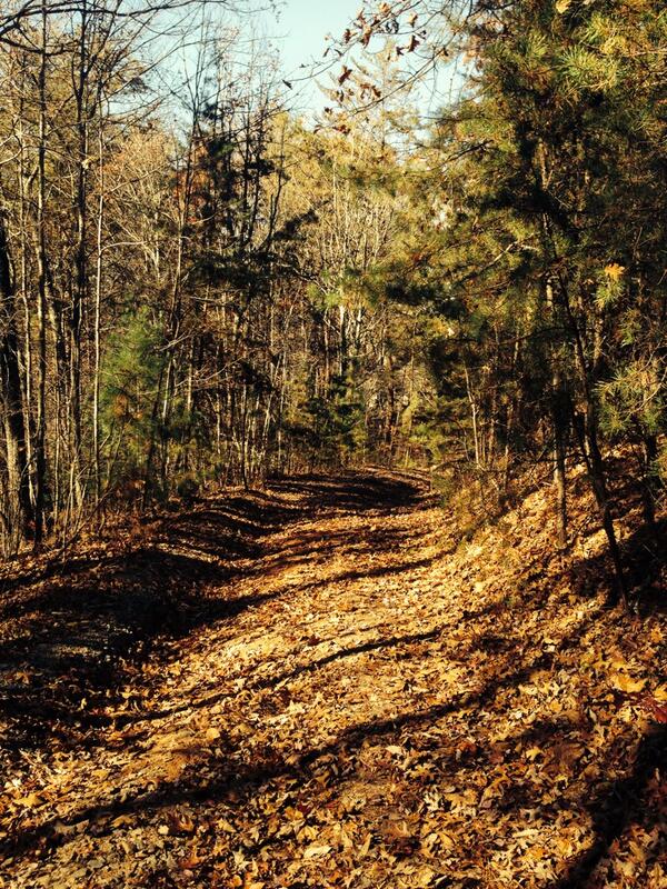 The trail is calling me!  #missingGA #jeeptrail #turnaround