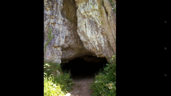 *comes out if his den and yawns*