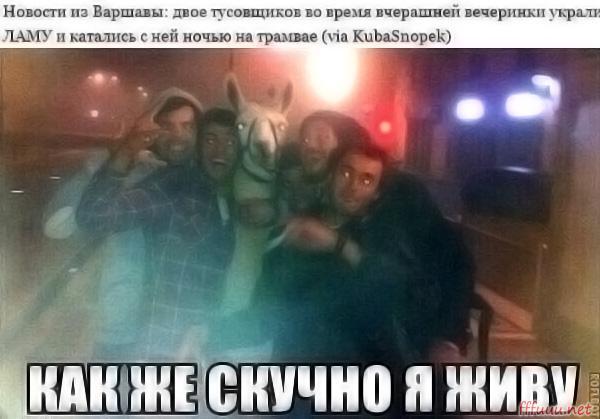 Картинки с надписями как же скучно я живут, надписью про