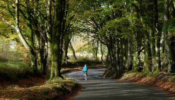 TheDartmoorWay's tweet photo. What a lovely weekend of weather that made cycling so enjoyable with the Autumn colours as they are right now http://t.co/Mf4NscmcZ2