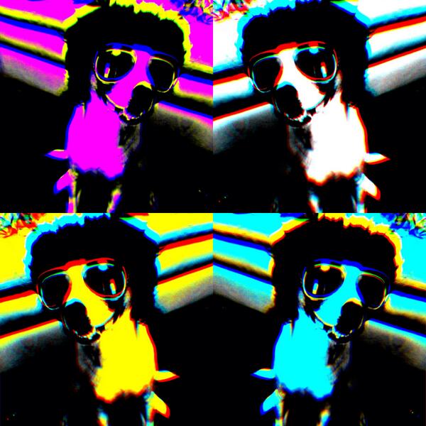 popkickapp's tweet photo. Art made with Popkick - Artist @ecdubbleyew (instagram) http://t.co/ieT4QZuHH2