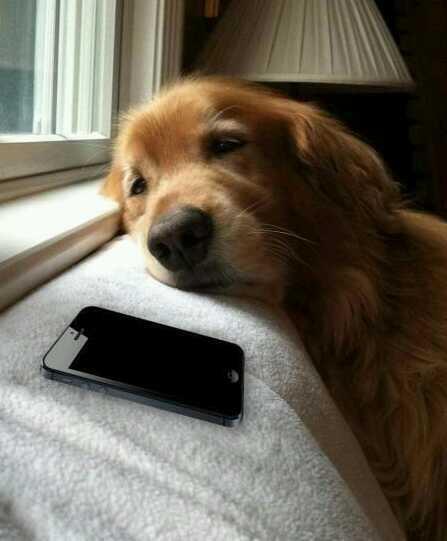 LetrasQueSuenan's tweet photo. Estas esperando un mensaje de esa persona y estas así: http://t.co/2rOVFPLhem