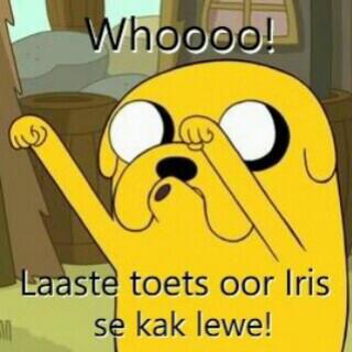 Amper kla met iris! <a href="/neillJvR/">Neill van rensburg</a> <a href="/JanluUys/">Janlu Uys</a> @HeinrichvanDyk @johanlieb09