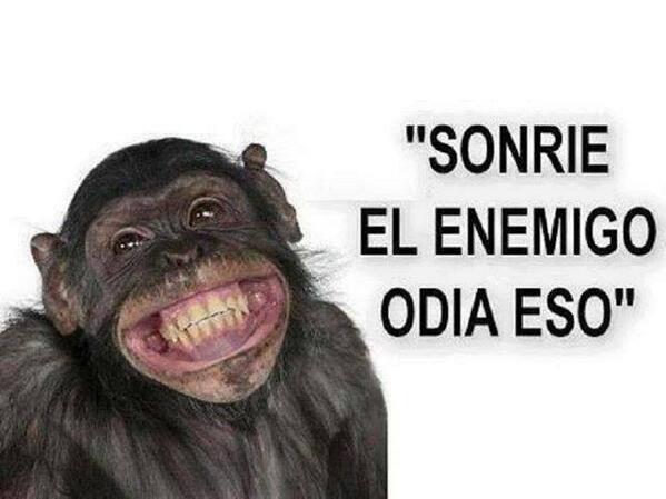 Rossana 🦔 on Twitter: Rossana 🦔 on Twitter: