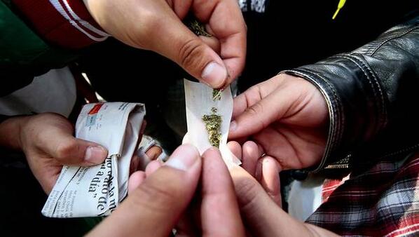 24HorasTVN's tweet photo. ONG chilena repartirá semillas de marihuana a pacientes crónicos. ¿Qué te parece? http://t.co/auUcpZQuDh http://t.co/mNFrqnxJGi
