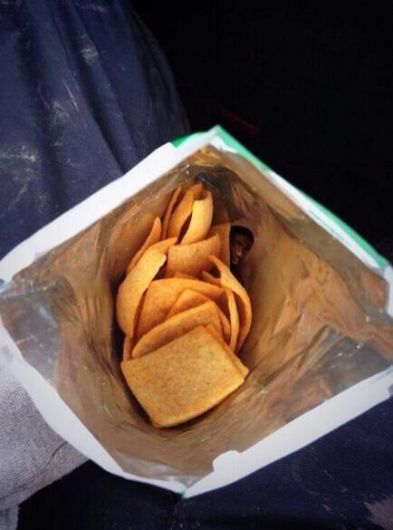 BY0mR-HIMAAAhbO.jpg:large