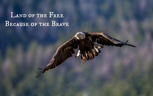 BassProShops's tweet image. We extend our deepest gratitude to all veterans and those who currently serve. Happy Veterans Day!