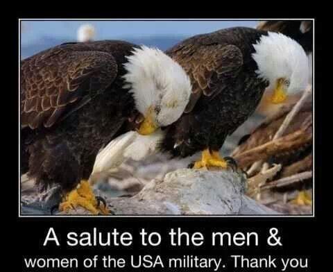 Herbert Calvitto tweet media