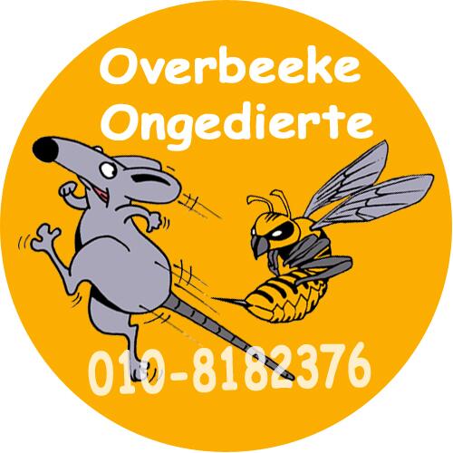 Overbeekeonge's tweet image. @Overbeekeonge  ongediertebestrijding Rotterdam, muizenbestrijding zonder bestrijdingsmiddel, kennis is voldoende!!!