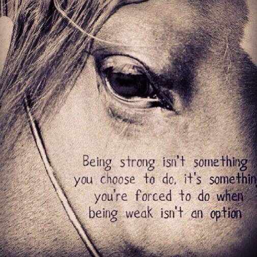 TheMorganAdler's tweet photo. ��� http://t.co/FpCCDMQw3w