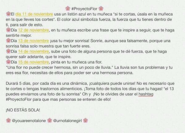 curllymike's tweet photo. Significa mucho para nosotras @Urnotalonegirl ¡Únanse! <3 #ProyectoFlor http://t.co/MJ4VBThMg4