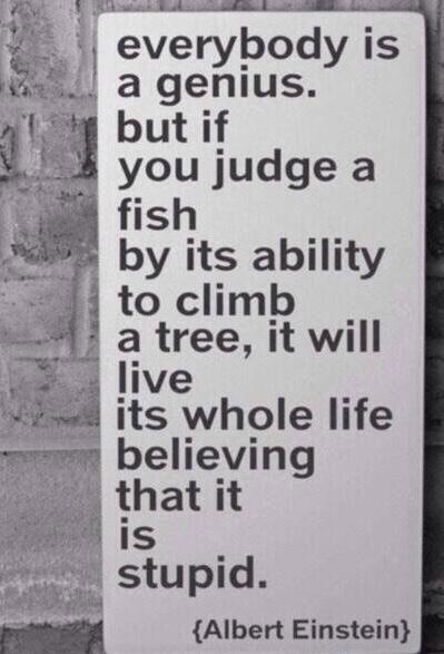 mind_experience's tweet image. 