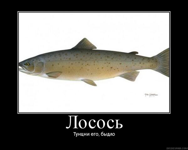 icheTalbot tweet picture
