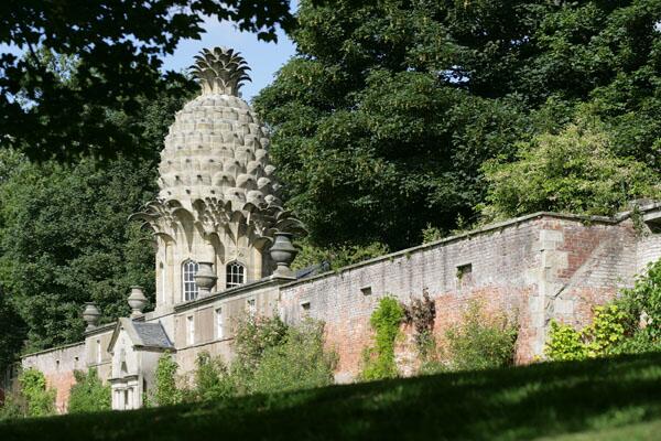 FreshAdventure's tweet photo. Spend New Year's Eve in a Pineapple. http://t.co/1QiBjFQFaR http://t.co/HBBj44UZuV