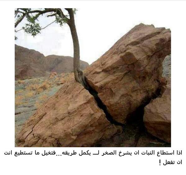 Programs_TU's tweet photo. http://t.co/1PhfskveSU