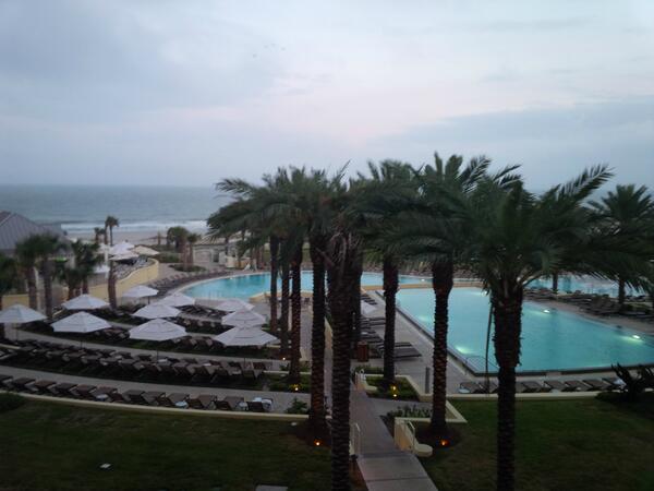 LoyalistExamServices tweet media