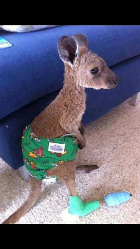 @caseyhayne something to make you smile! 😘😘