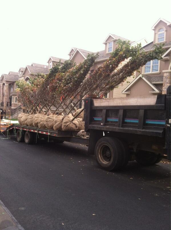 GreensideUp_SI's tweet photo. Another load to be planted http://t.co/CMoBMlu9pH