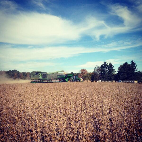 _farmer_boy_'s tweet photo. #tractortuesday @FarmKidLife #shellingcorn @farmerpics http://t.co/LCTK9l9wQU