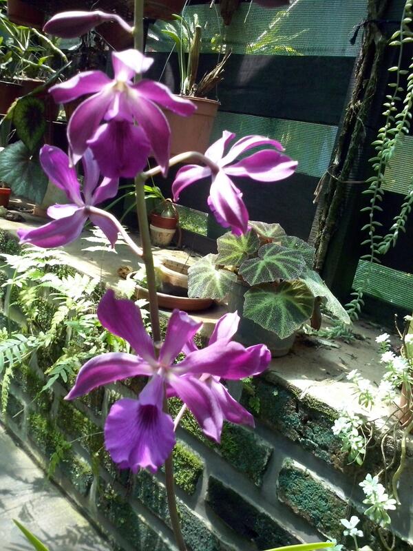 Buenos días amigos! Hermoso día de sol en Misiones