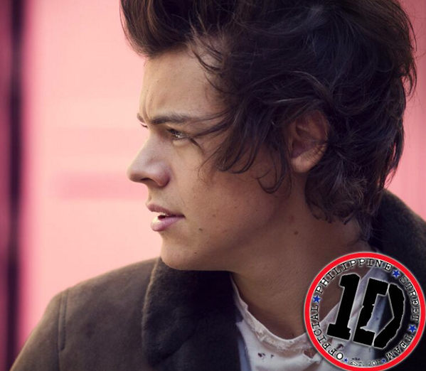 Bezpośredni odnośnik do obrazka