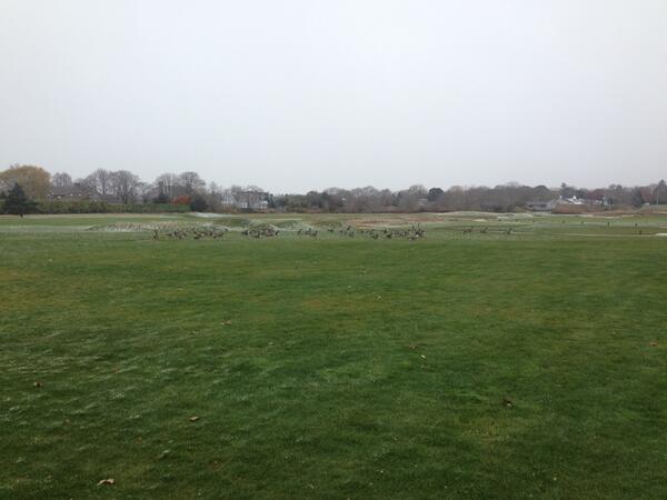 WesthamptonCC's tweet photo. Snowfall @WesthamptonCC this morning puts back the Greens Aeration which will now commence tomorrow. #lovethequietday http://t.co/0OlVGuSa8I