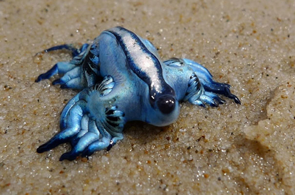 Inktrigue tweet media