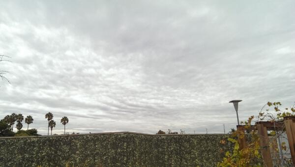 JMadrigal323's tweet image. #sunlightreflection #reflection #NDR @corninggorilla