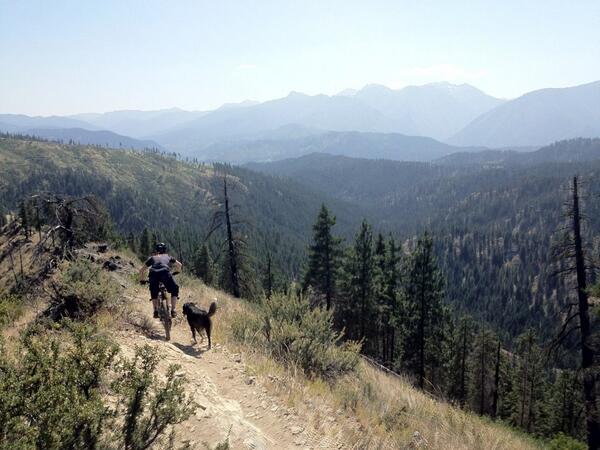 Dogs and bikes. 'Nuff said.