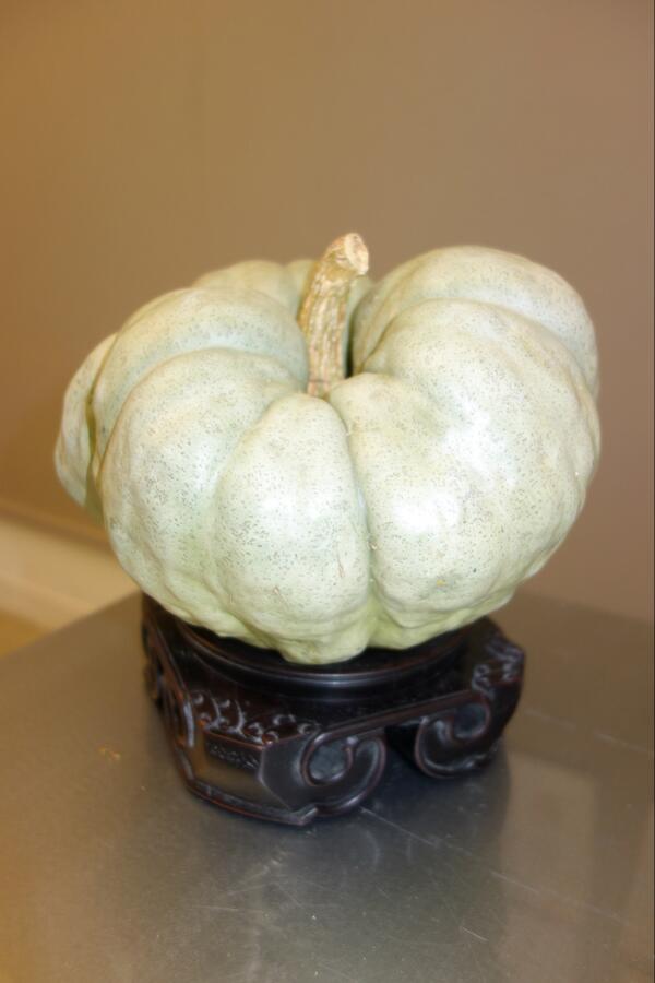 sharkeyhome's tweet photo. I know it's crazy, but I think this squash looks great on the Chinese stand and have put it on my desk! http://t.co/QrCwbhKBbs