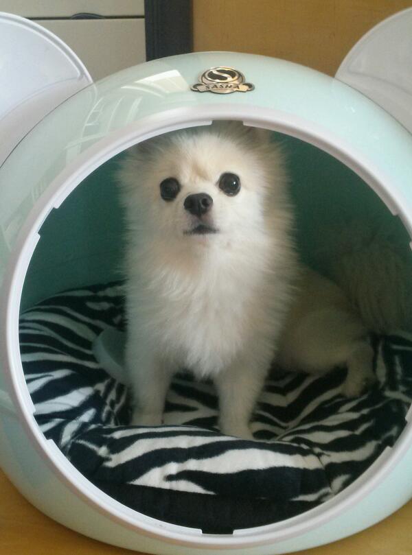 areum's tweet photo. Cute! http://t.co/qjH4MXq0pf
