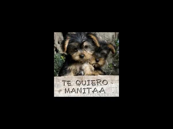 katlinjoiro's tweet photo. @licethmaestre22 @karenbeermudez http://t.co/JMqQW5K40I