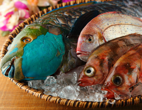 okiaruzx's tweet photo. 沖縄のスーパーの鮮魚コーナー。内地の友達にこんなのばっかりじゃないから って教えてあげよ！
https://t.co/9gjwW3wi4R