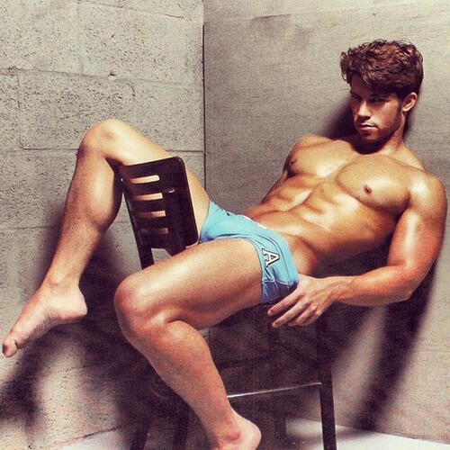 New World Magazine tweet media