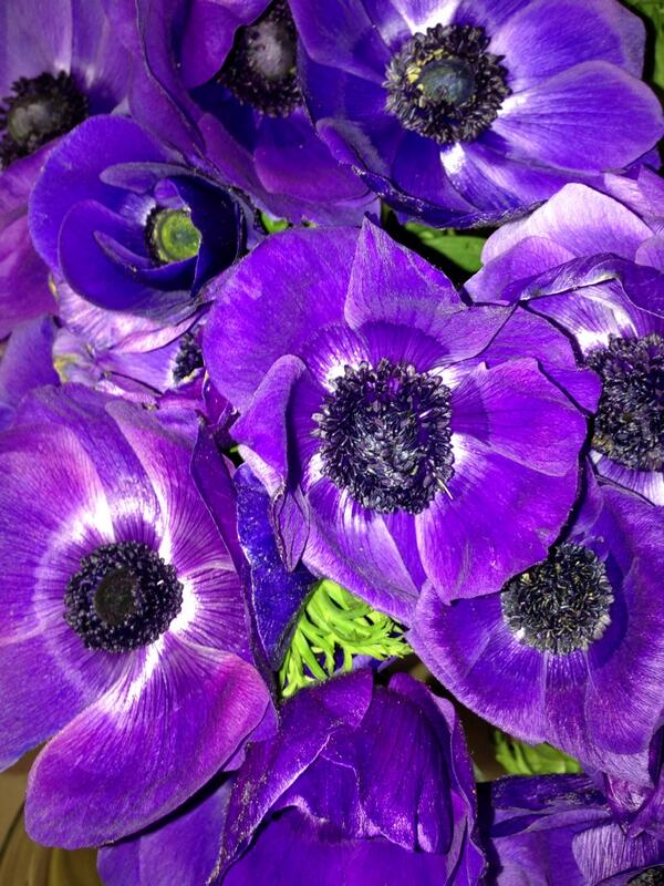 vYudashkin's tweet photo. Сегодня Всемирный день Добра ! http://t.co/oVL7ySJnIk