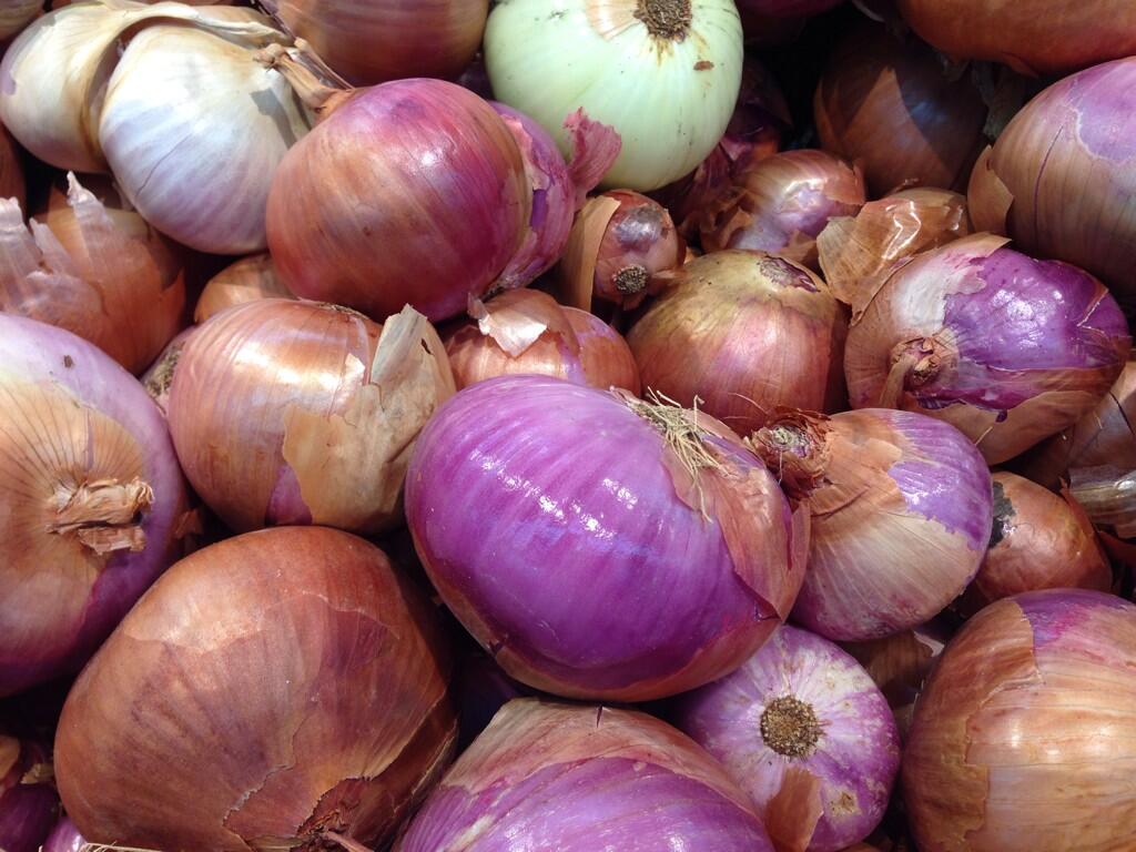 رابط دائم للصورة المُضمّنة