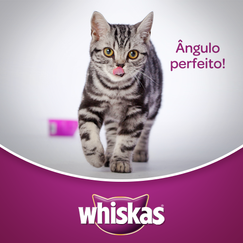 WHISKAS® (@whiskas_br) / Posts / X