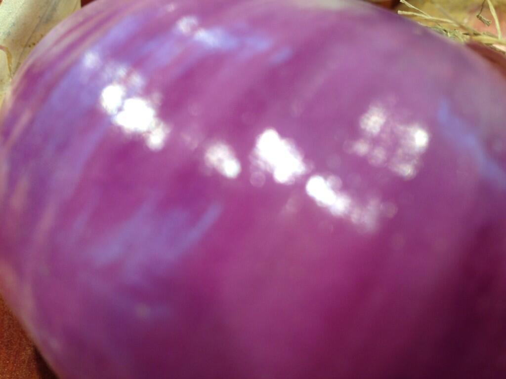 رابط دائم للصورة المُضمّنة