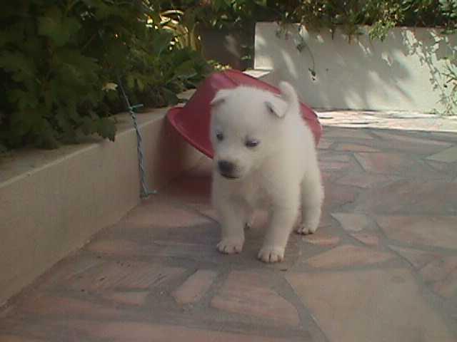 Permalien de l'image int&eacute;gr&eacute;e