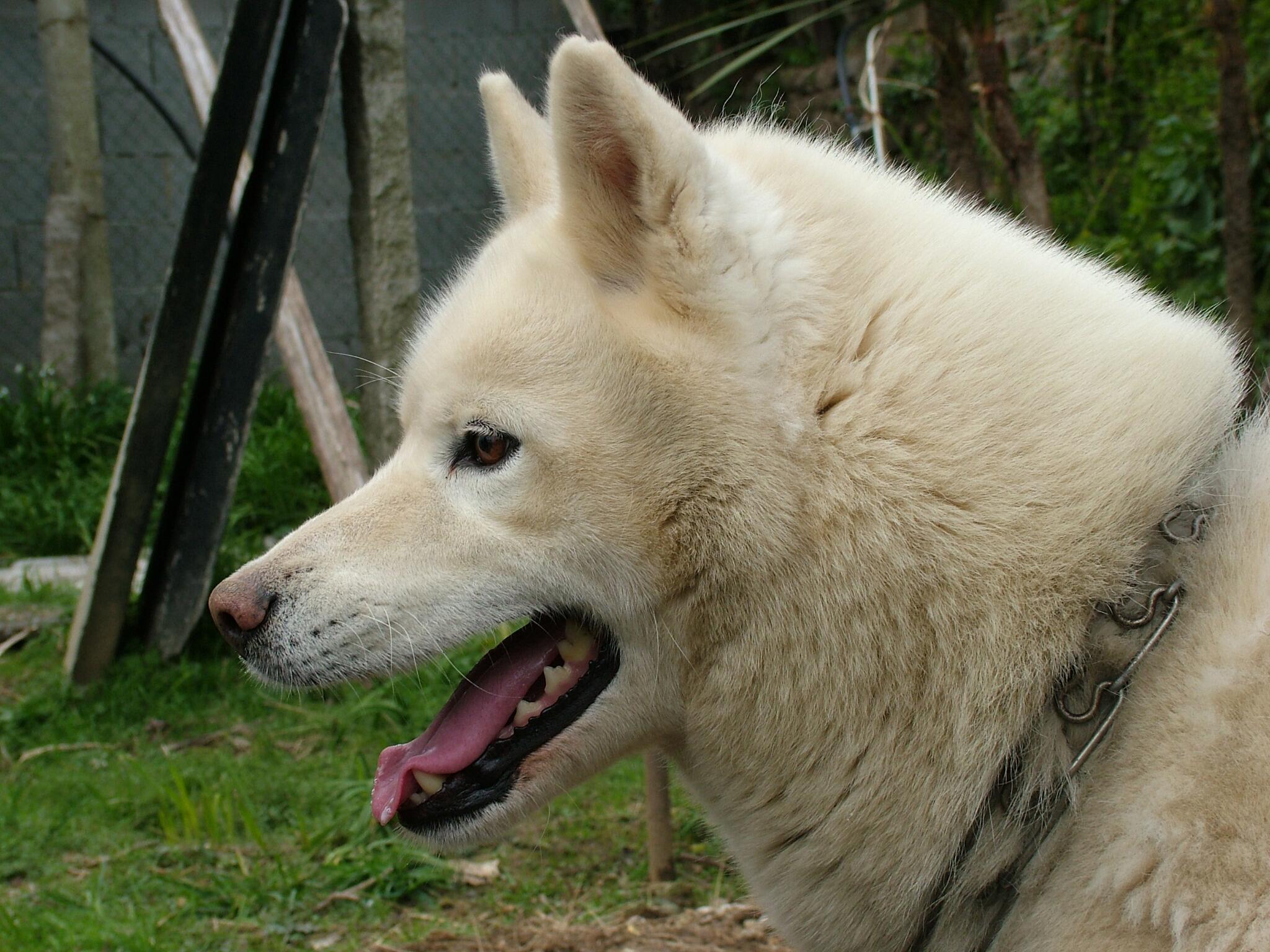 Permalien de l'image int&eacute;gr&eacute;e