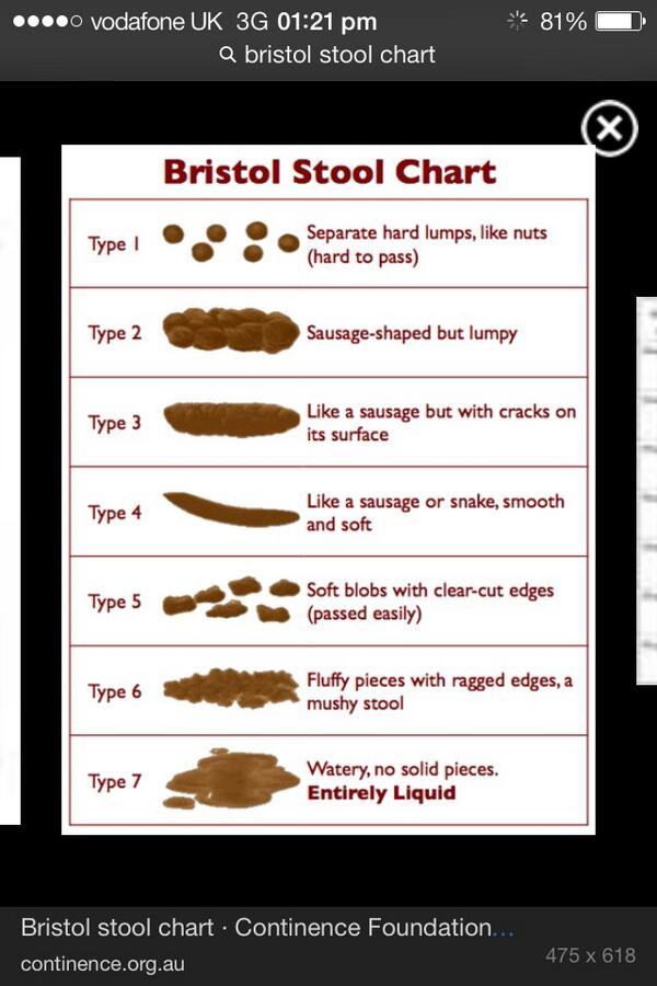 JimmyyW's tweet image. @pully18 @Tomsmith2211 Uni just got good, I mean did this really just come up in a lecture?? #poo #defication