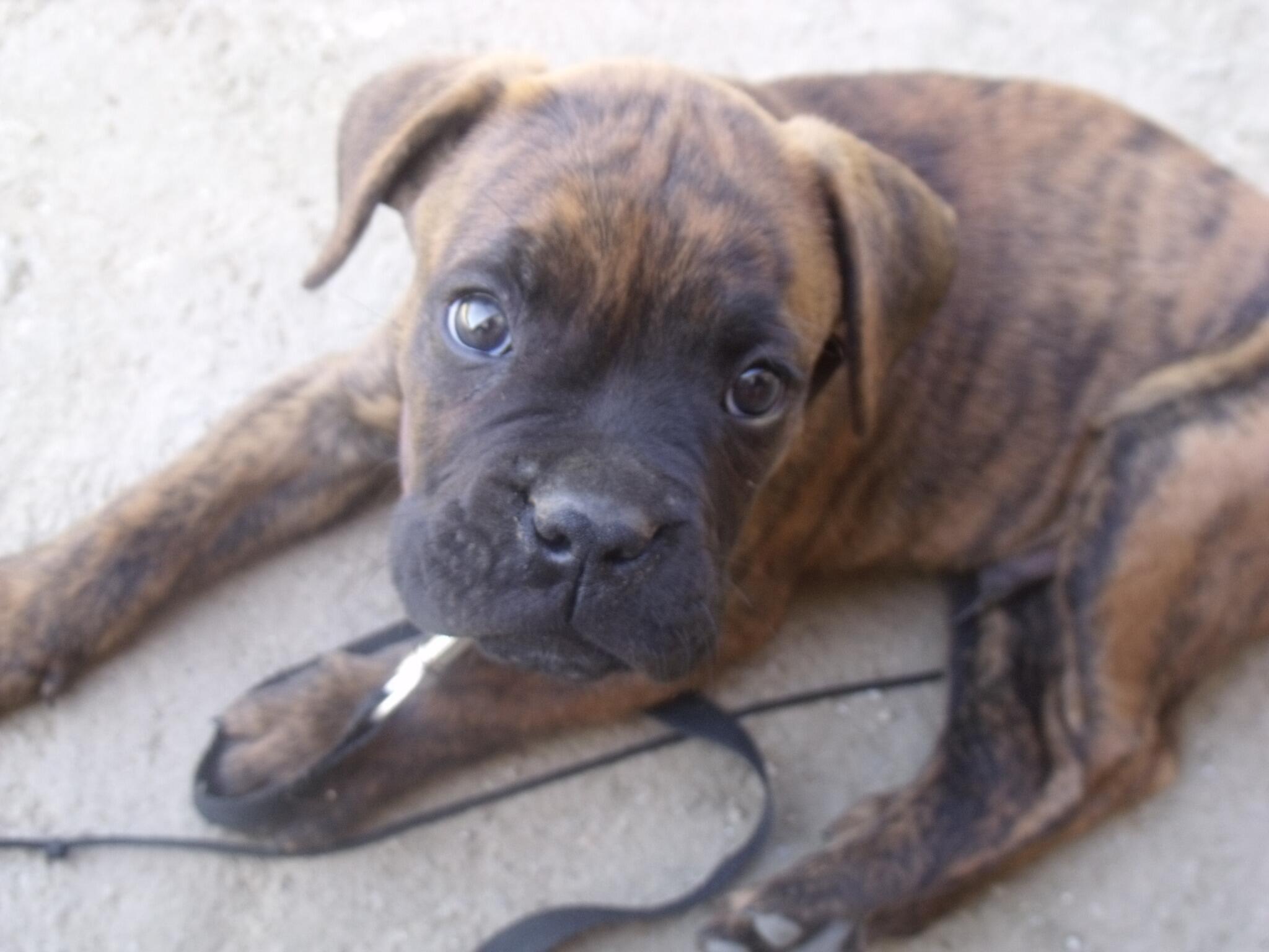 Permalien de l'image intégrée