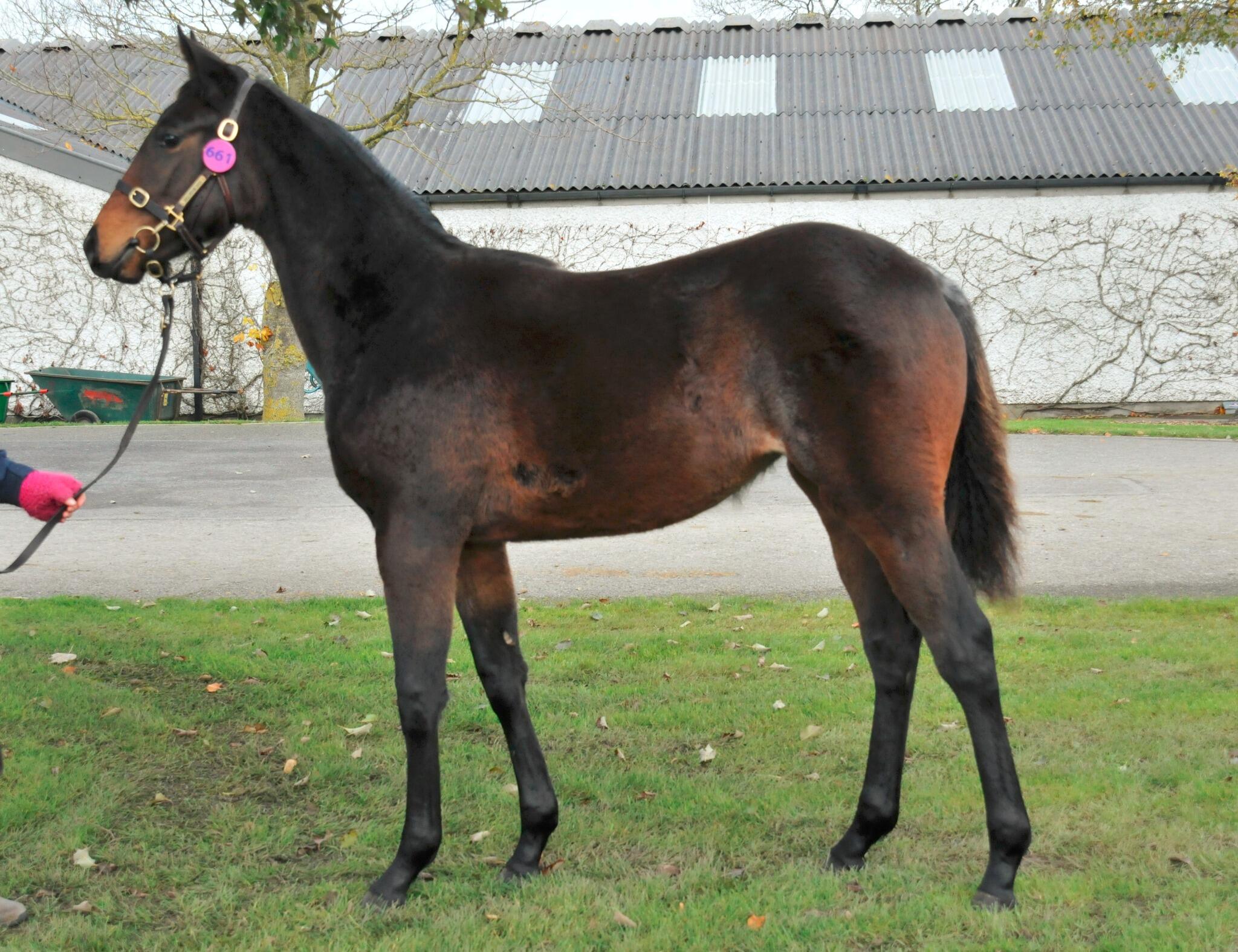 BY9rfMzCUAAbshi.jpg:large