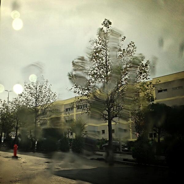 ireneseco's tweet photo. http://t.co/2Gj0ofDCdX