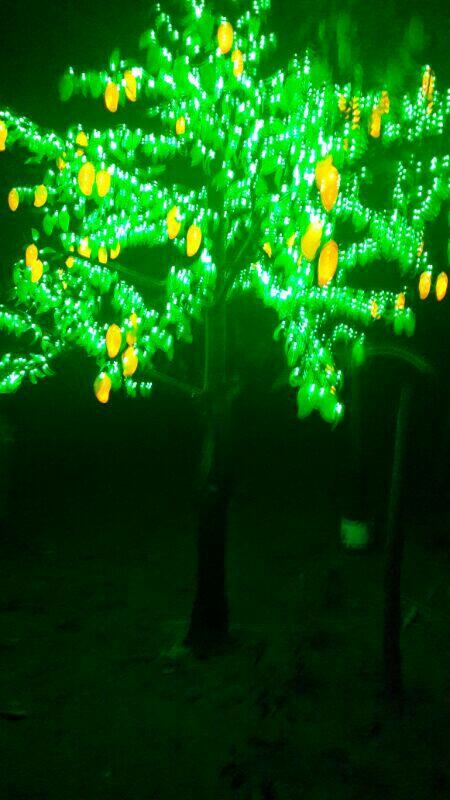 vivenavidad's tweet photo. http://t.co/TcRxZmDq1Y