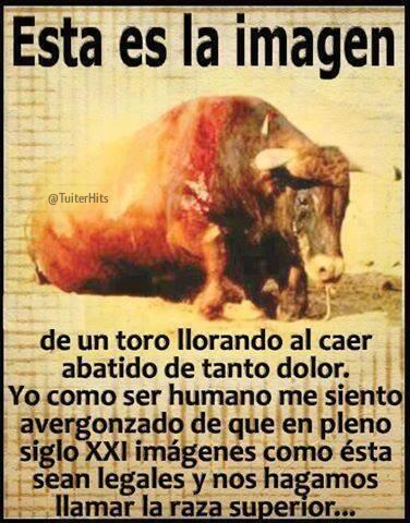 TuiterHits's tweet photo. Un toro llorando. http://t.co/NvNQqXZVR6